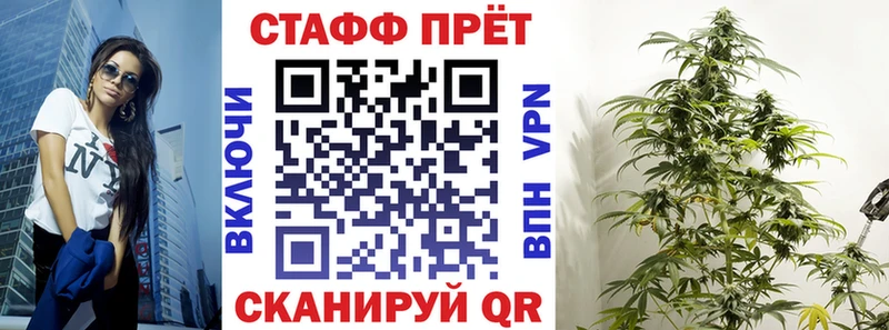 Продажа наркотиков Кадников A PVP  Cocaine  Псилоцибиновые грибы  ГАШИШ  Мефедрон 